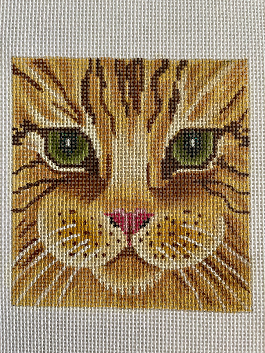 Caramel cat C-JPA63S