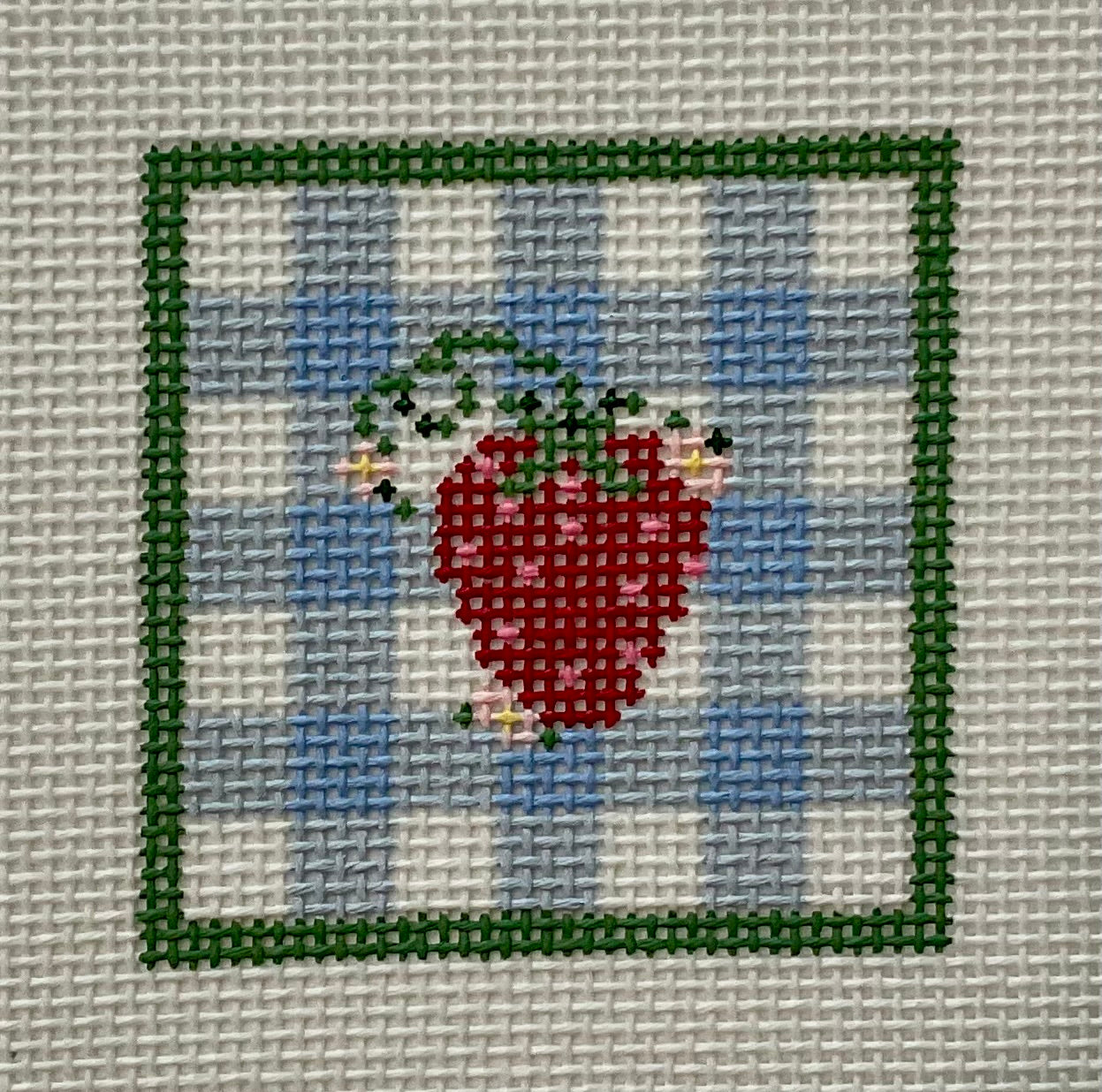 Strawberry & Blue Gingham Mini C-JAN0140