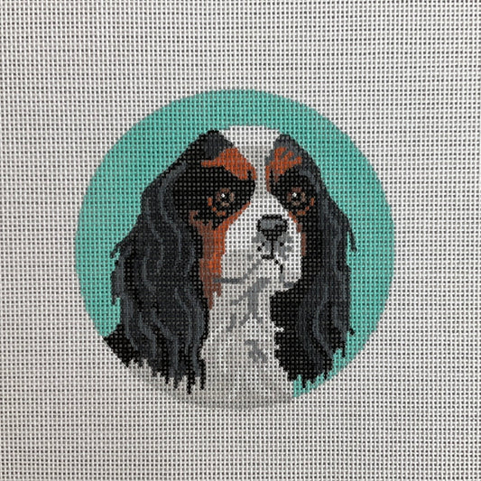 King Charles Spaniel C-LL414B