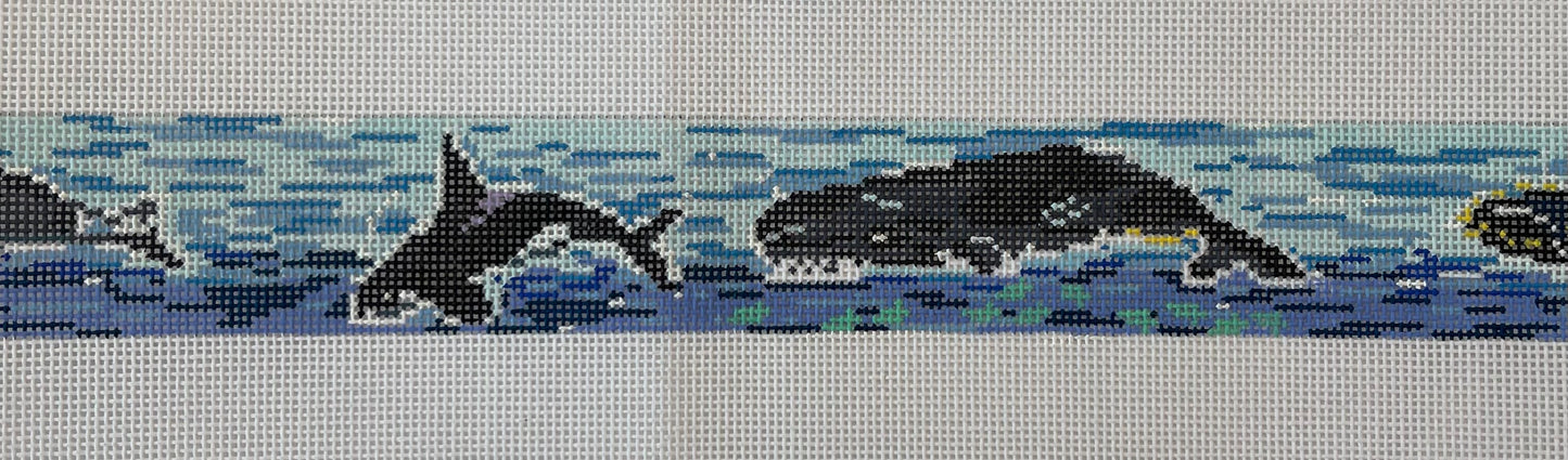 Whale Belt TS-SWB1071