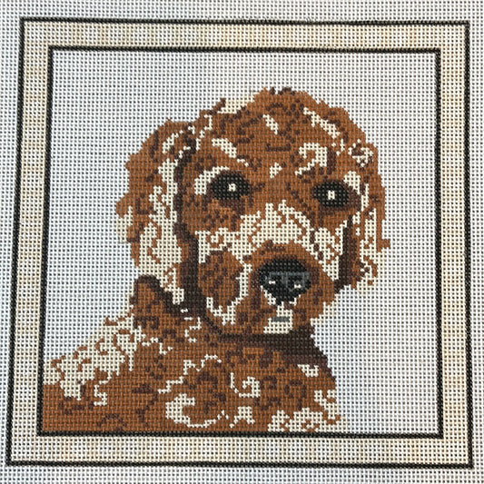 Sir Doodle C-KCD4044