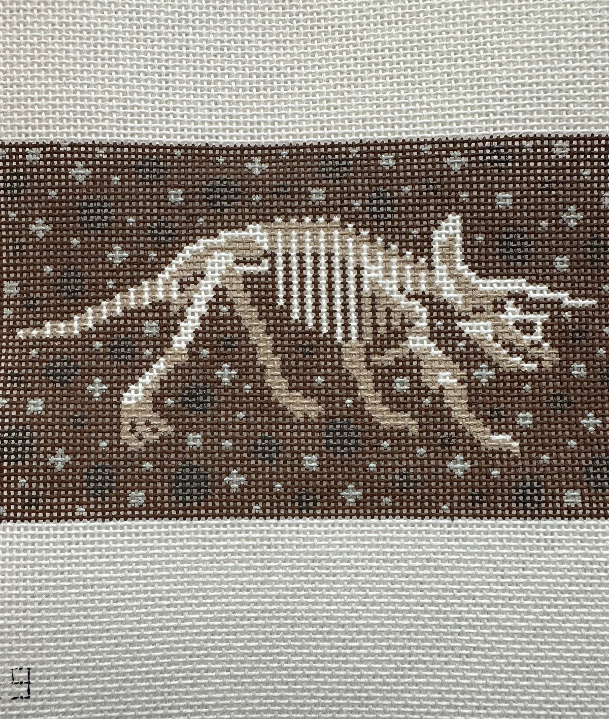 Triceratops Dinosaur Fossil C-EBOR019