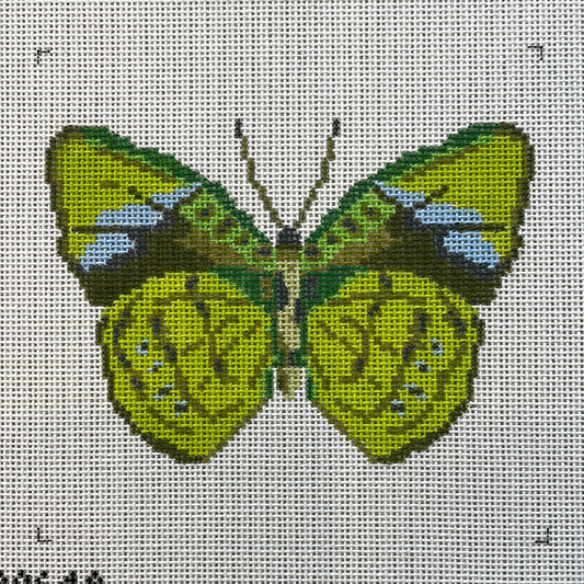 Green Butterfly 5” square size C-IKS2064A