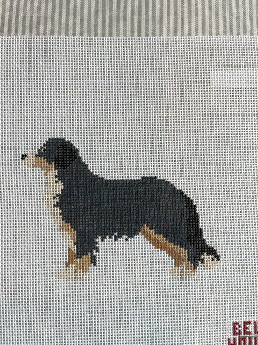 Bernese C-BH071