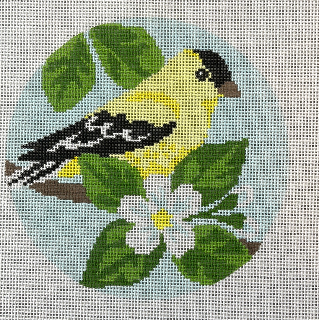 Goldfinch Bird C-KCD1670