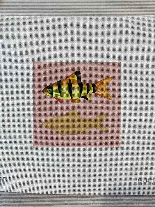 Small Fish Yellow Stripes C-COPIN473