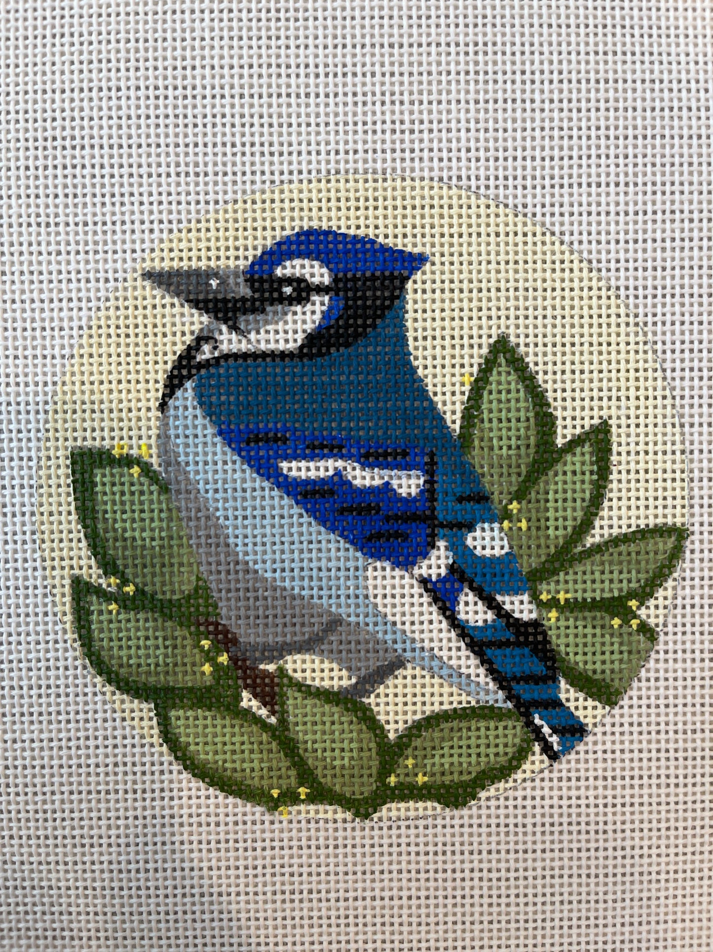 Blue Jay Round C-MPB323
