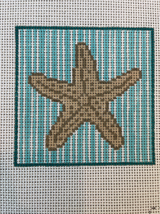 Star Fish Square C-CTR221