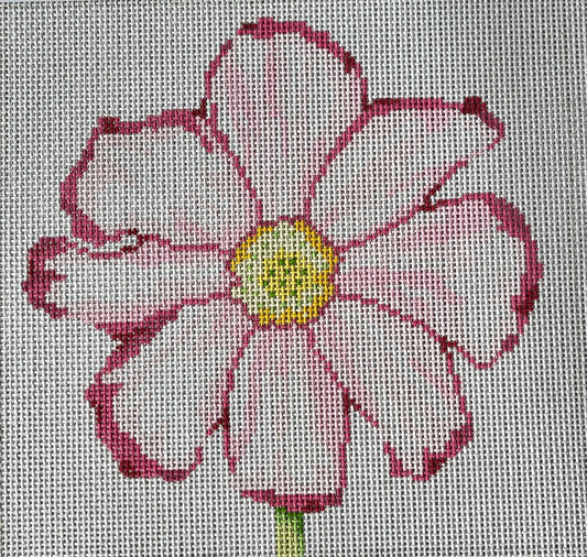 Pink Cosmo C-JS139B24