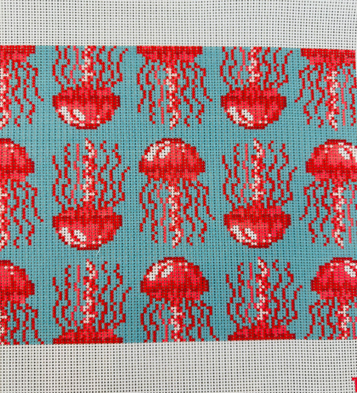 Jellyfish C-TTJELLY