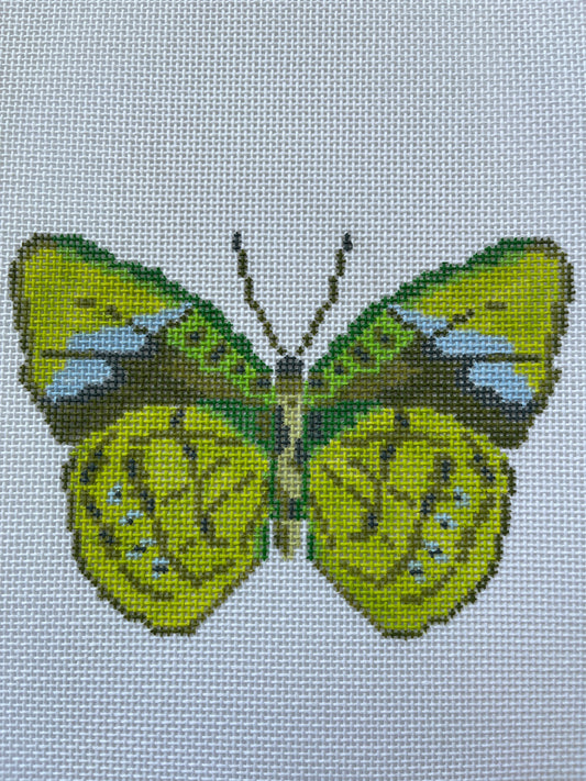 Green Butterfly C-IKS2064A