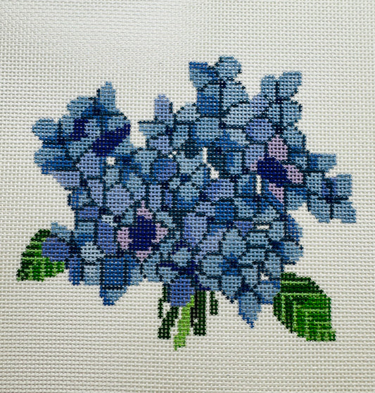 Hydrangea Bloom C-SF16