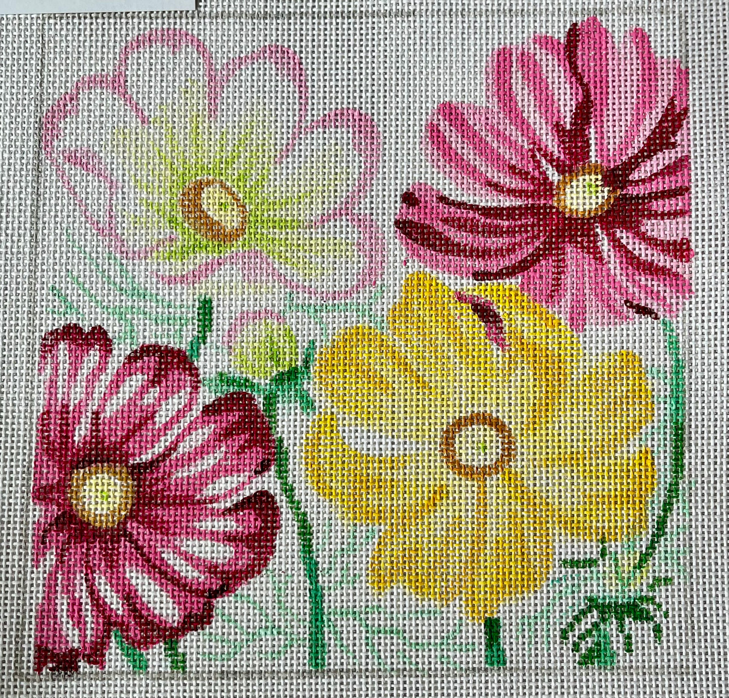 Cosmos Bouquet C-JS80C