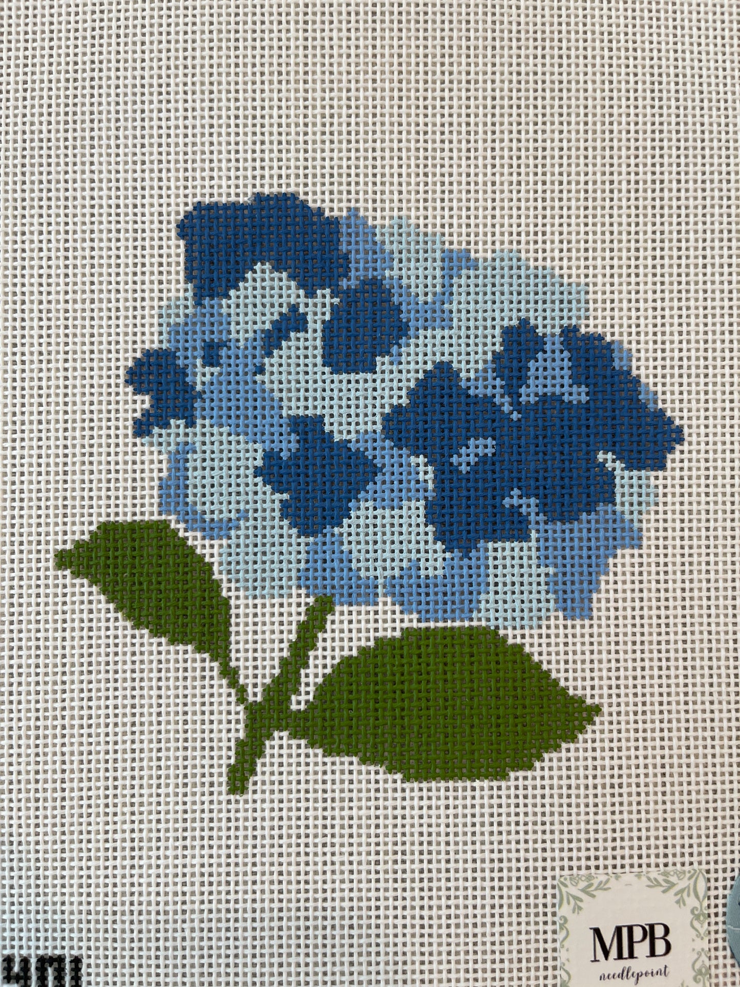 Hydrangea C-MOB401