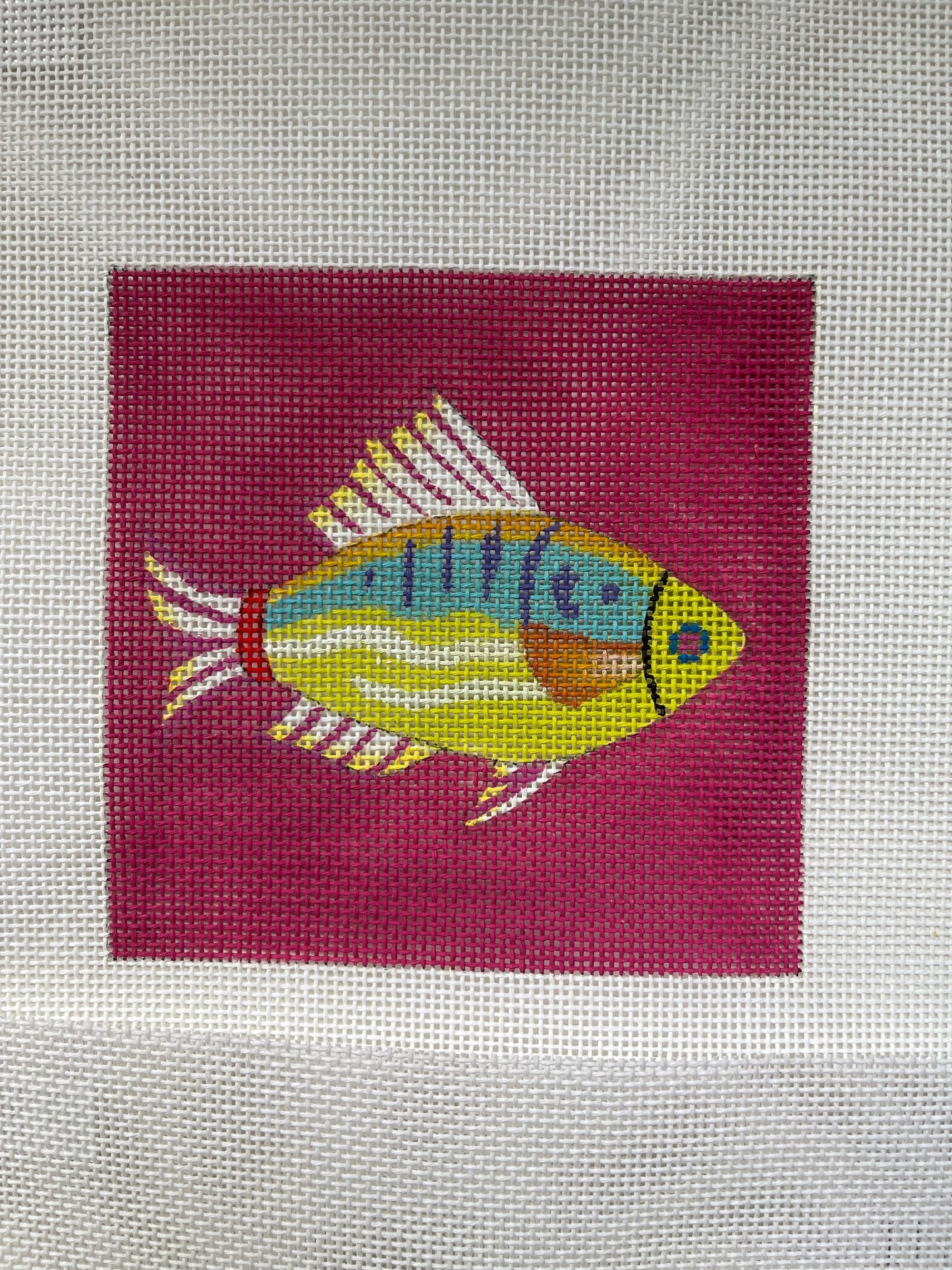 Fish Coaster Set C-COP474-477