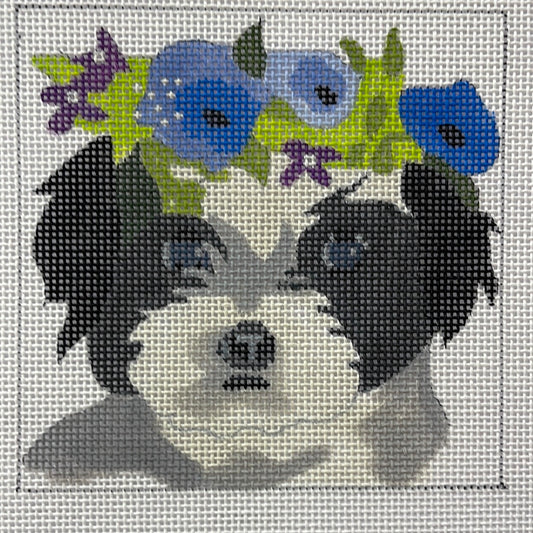 Havanese with Flower Wreath C-MPDD05