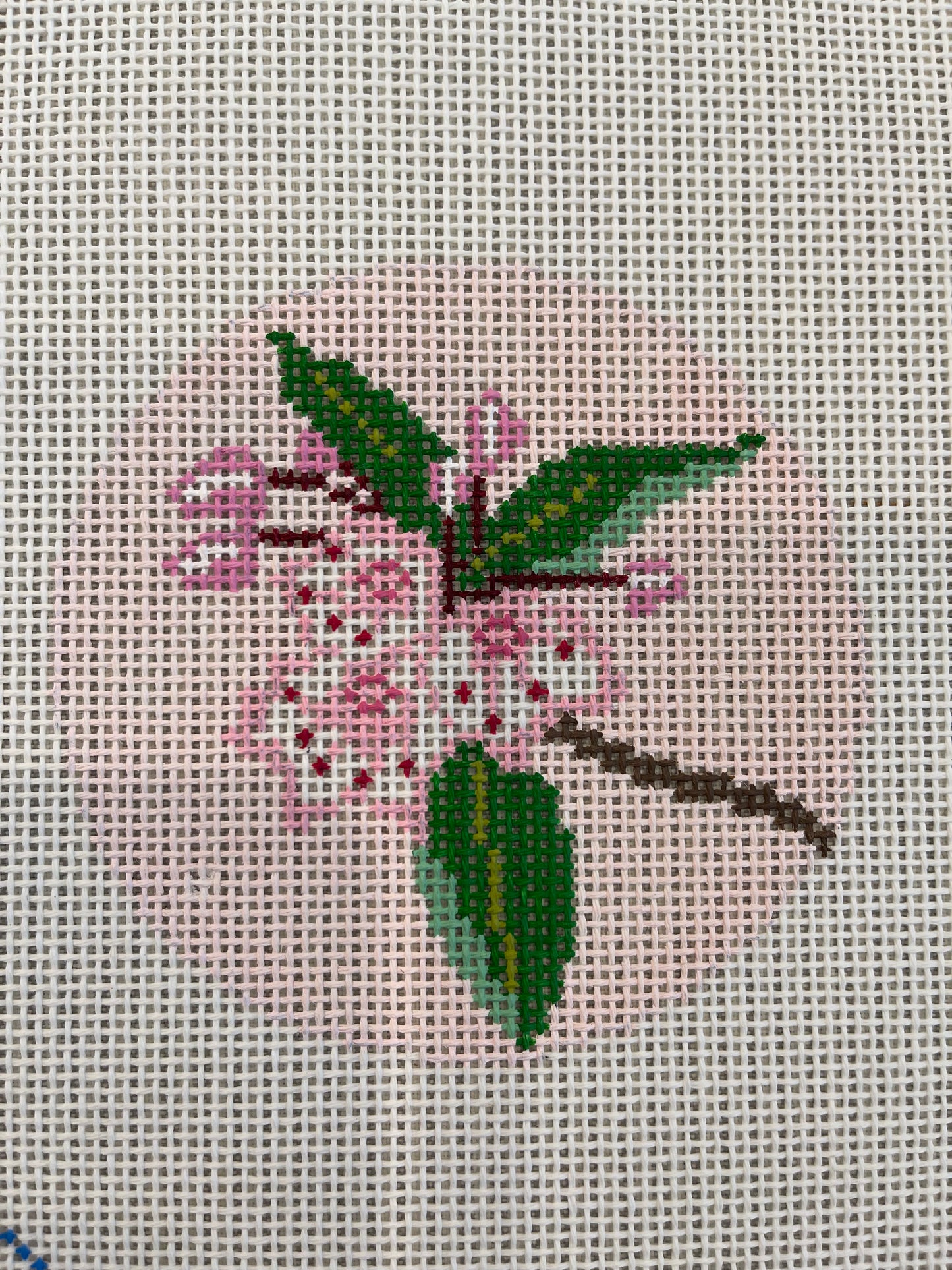 Pink Mountain Laurel C-BRT11