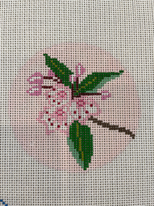 Pink Mountain Laurel C-BRT11