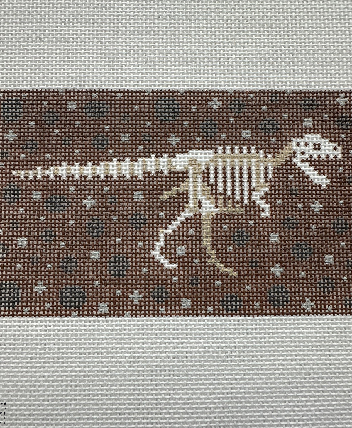 T-Rex Dinosaur Fossil C-EBOR018
