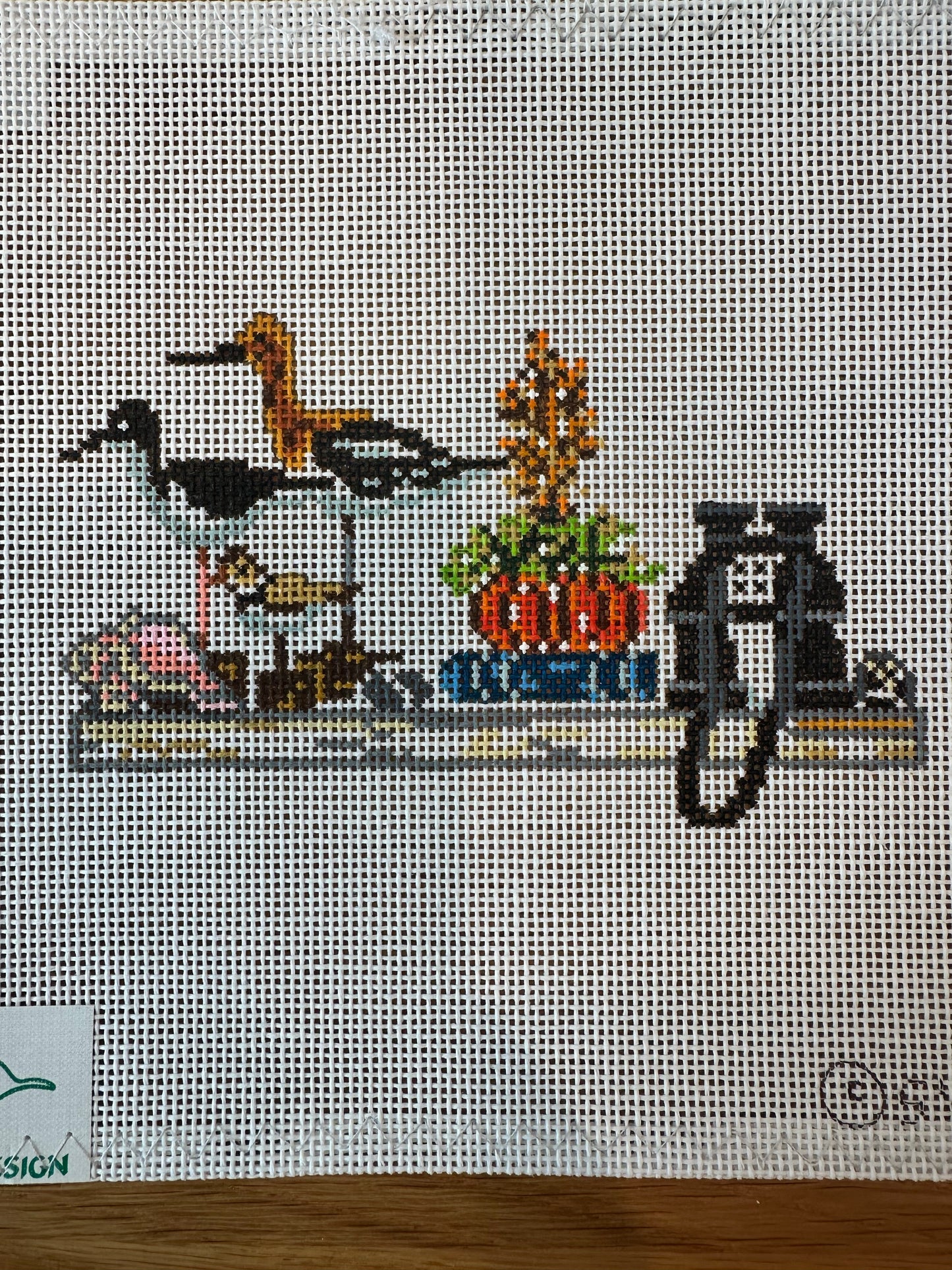 Bird Watcher TS-SWB1087