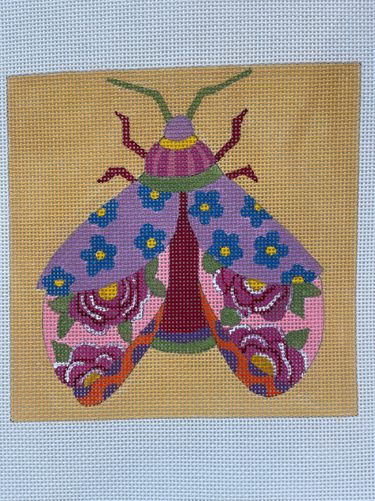Floral Beetle C-AP4876