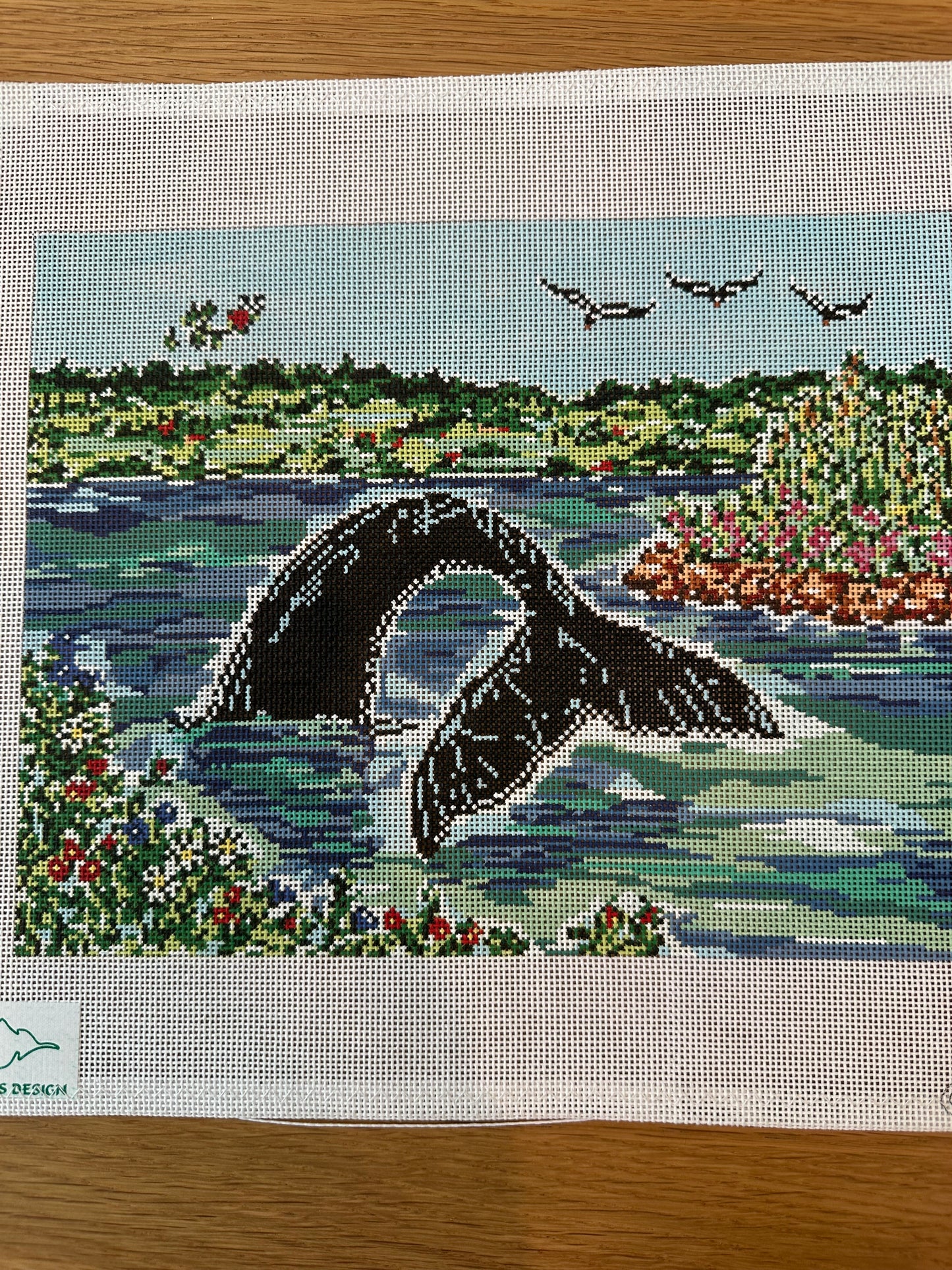 Whale Tail 2 TS-SWB1072