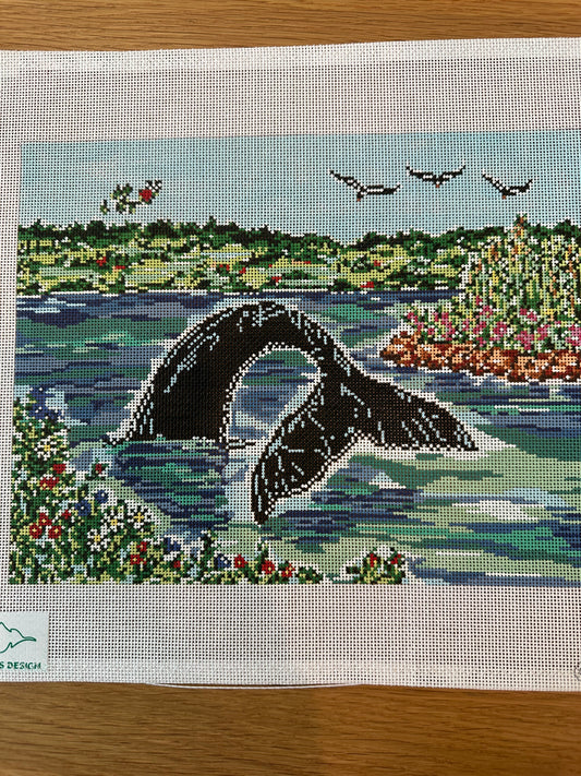 Whale Tail 2 TS-SWB1072