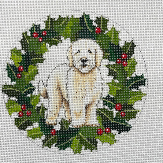 Labradoodle in Holly C-M317A