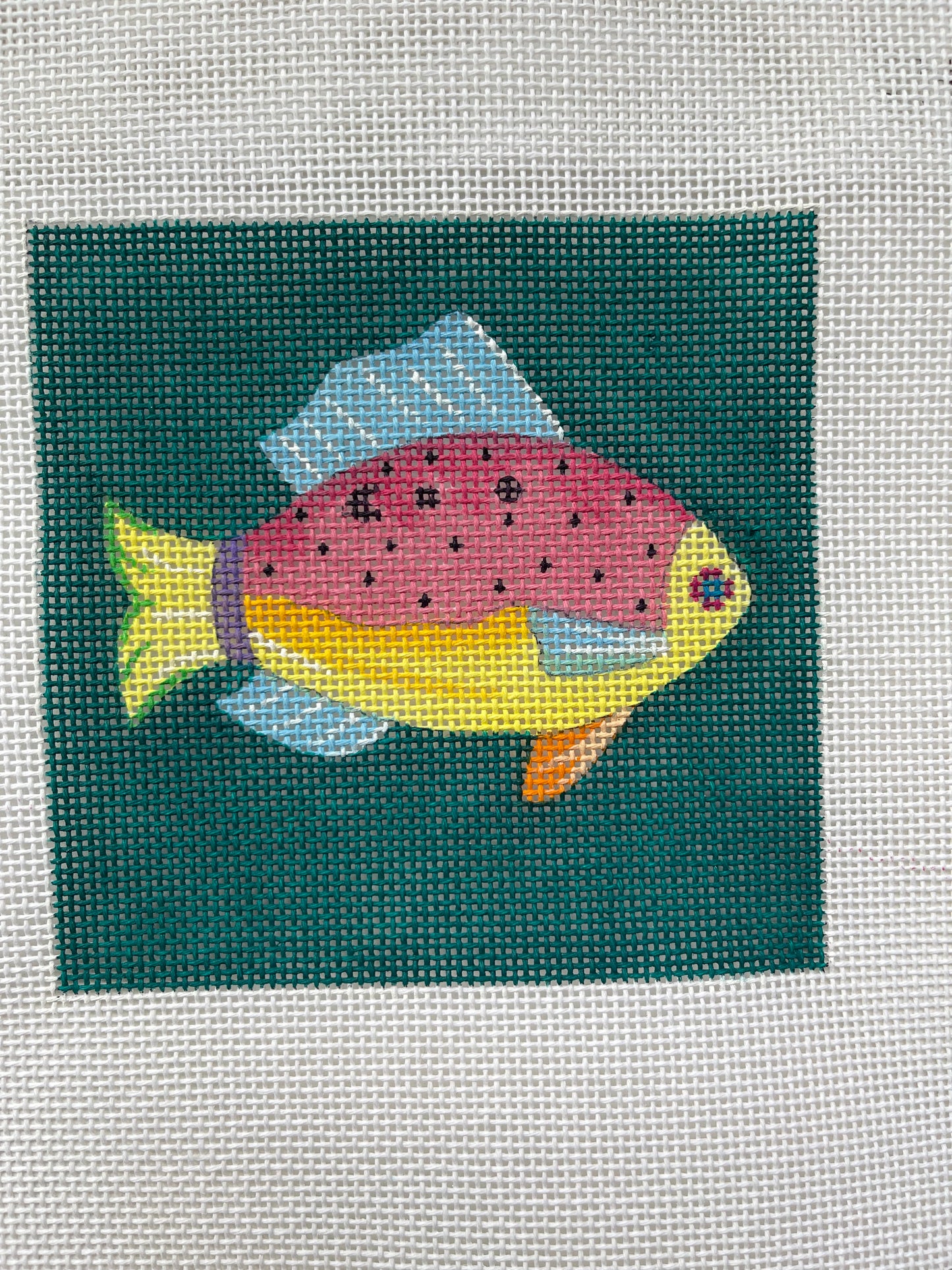 Fish Coaster Set C-COP474-477
