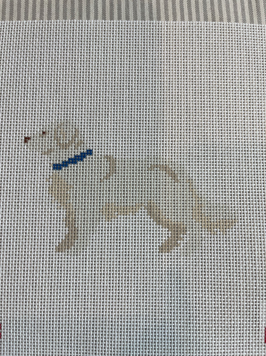 English Cream Golden Retriever C-BH45