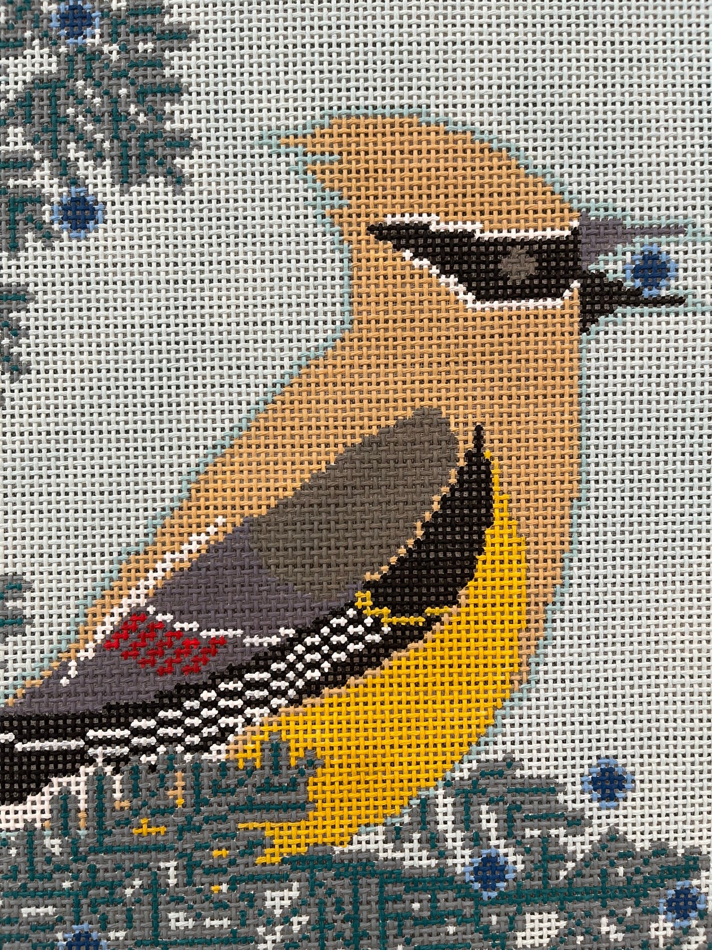 Cedar Waxwing C-CL114 13