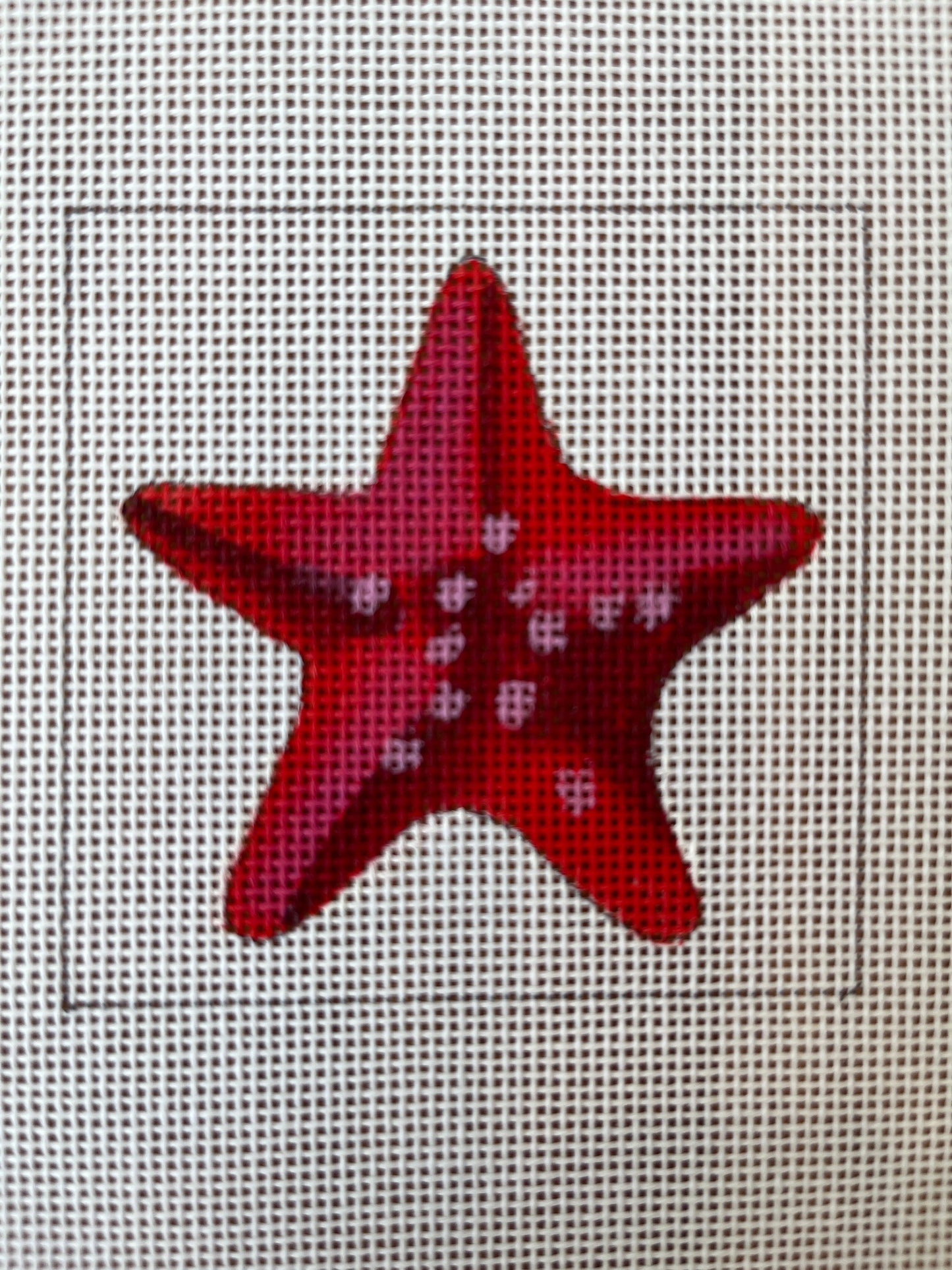 Starfish Square C-COPIN560