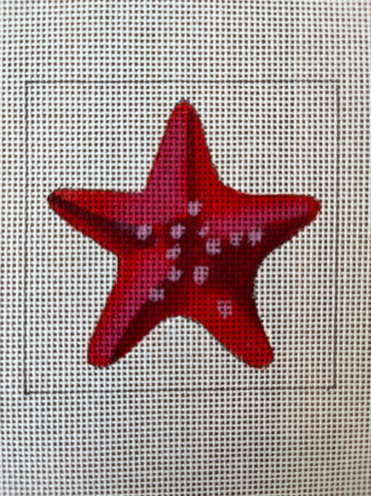 Starfish Square C-COPIN560