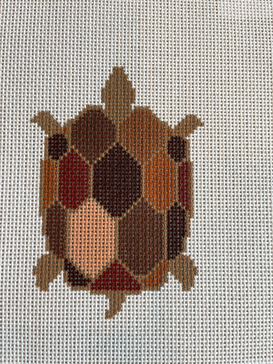 Brown Turtle C-SWS5004