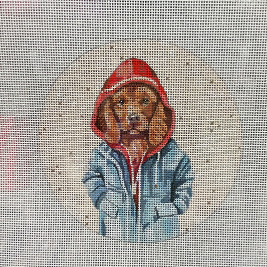 Dog in Hoodie and Raincoat C-M333