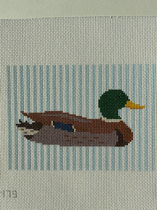 Mallard C-MN76
