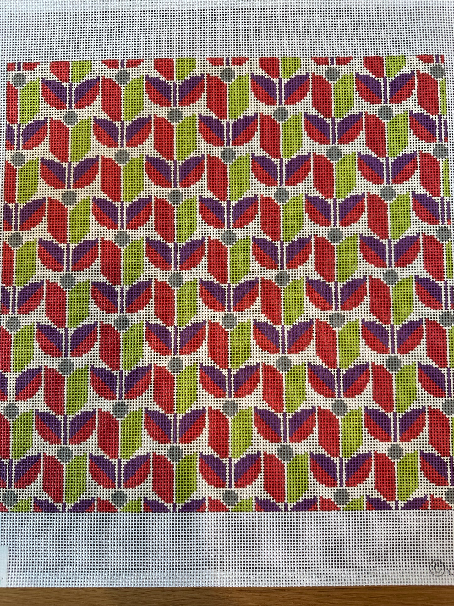 Tulip poppy  TS-JD4011P