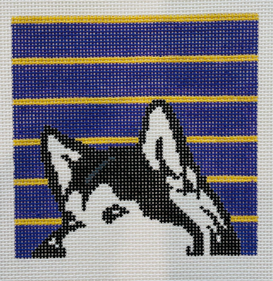 “Dubs” Husky C-MP112