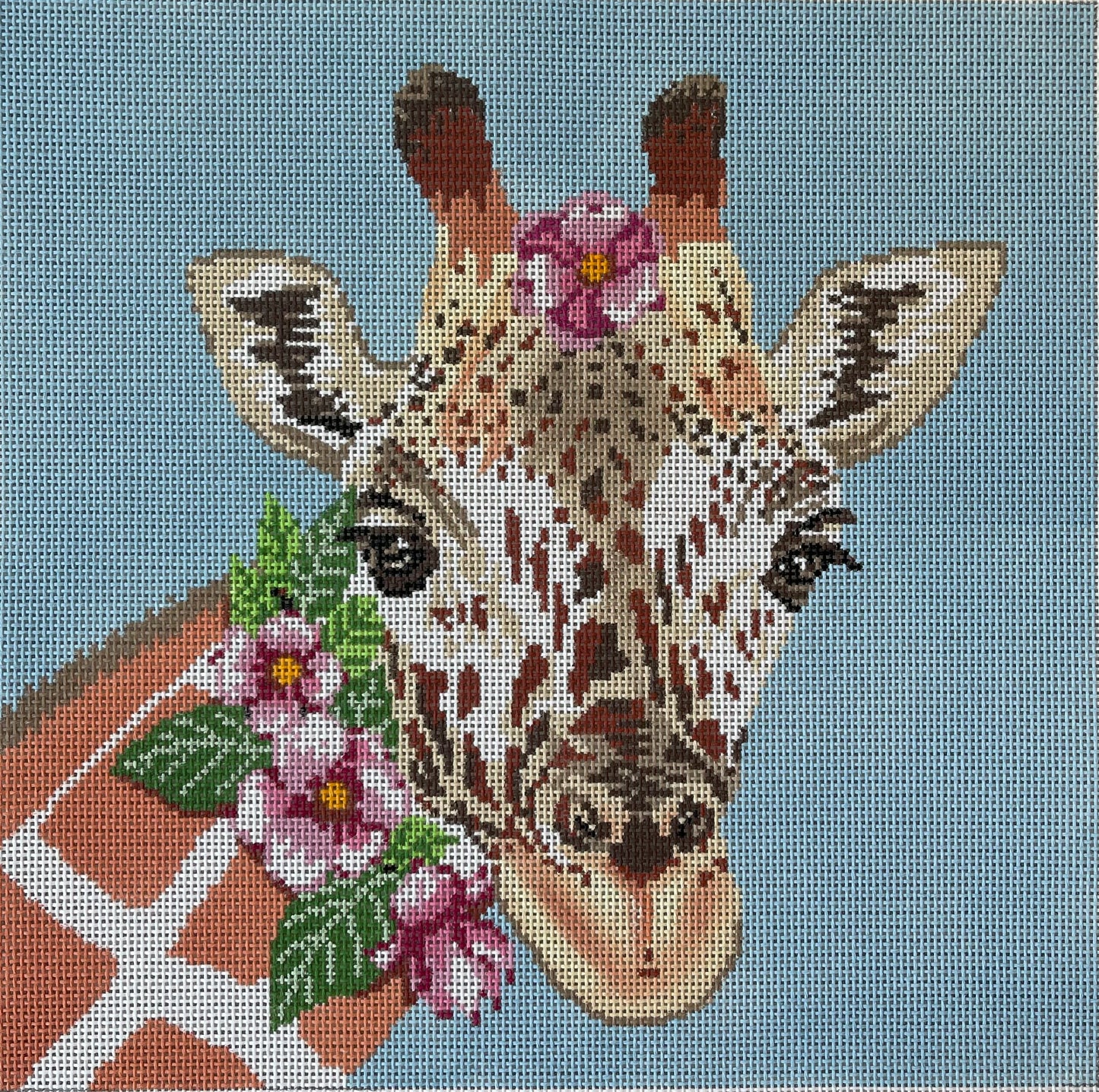 Giraffe C-ASIT205