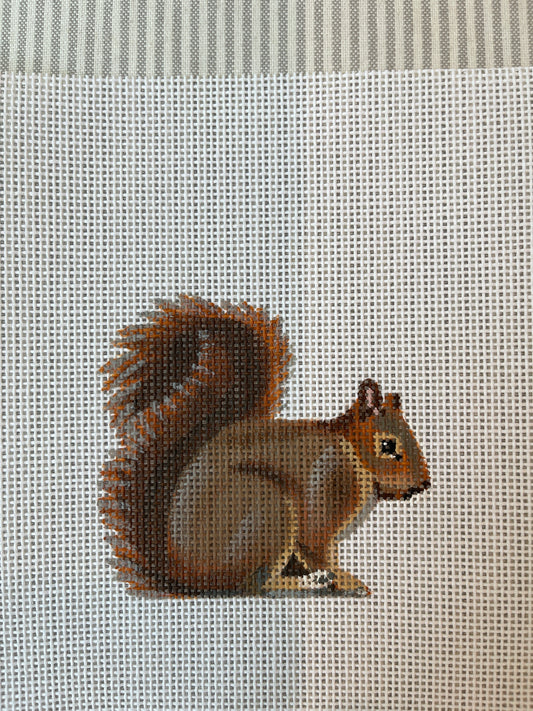Little Brown Squirrel C-LDDOR306