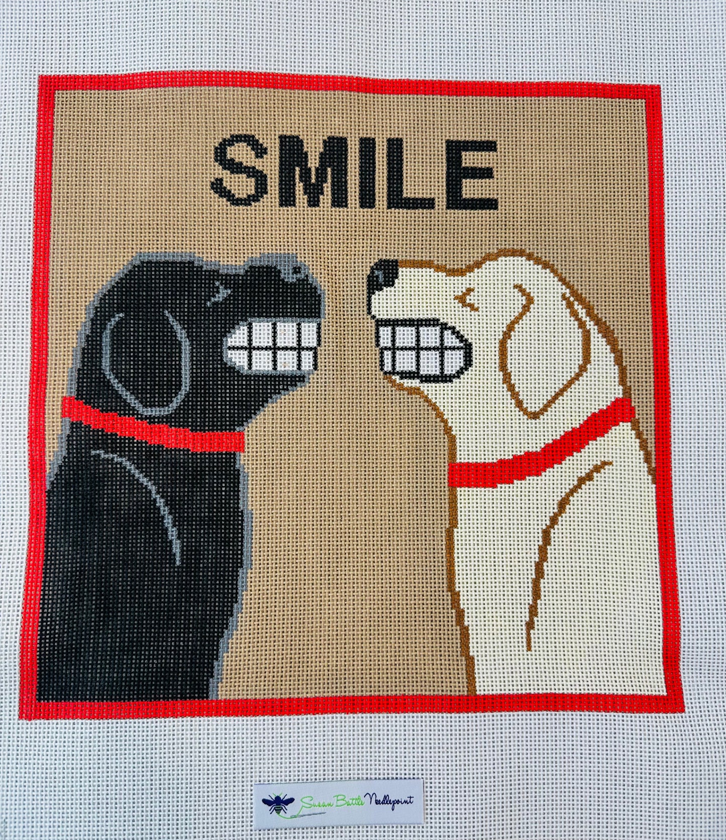 Lab Pillow SMILE 12x12” TS-P19