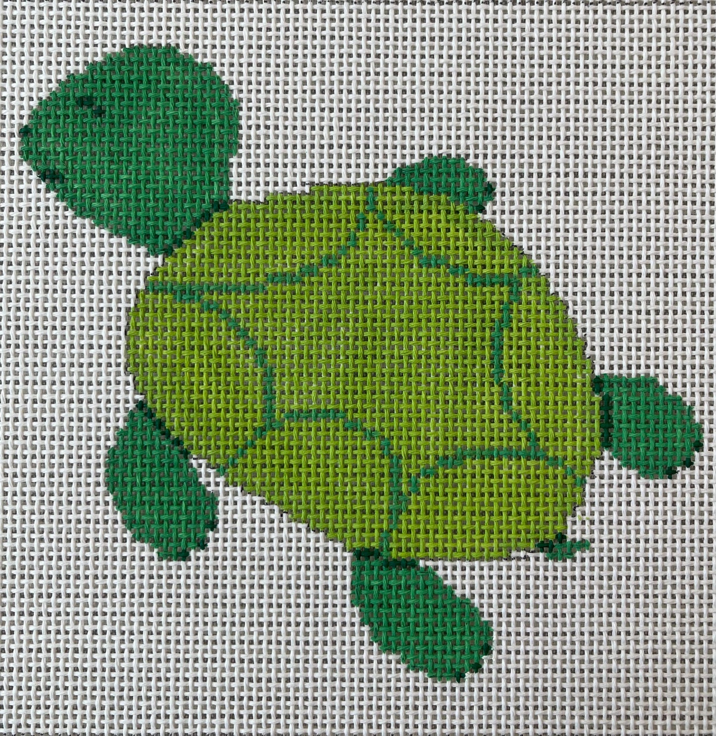 Green Turtle C-ASIT542