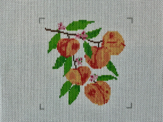 Peaches C-KCD2987