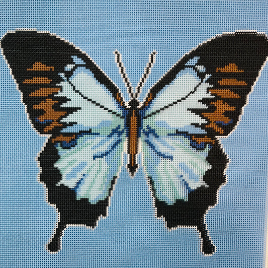 JH Butterfly 10 x 10 C-JHM13