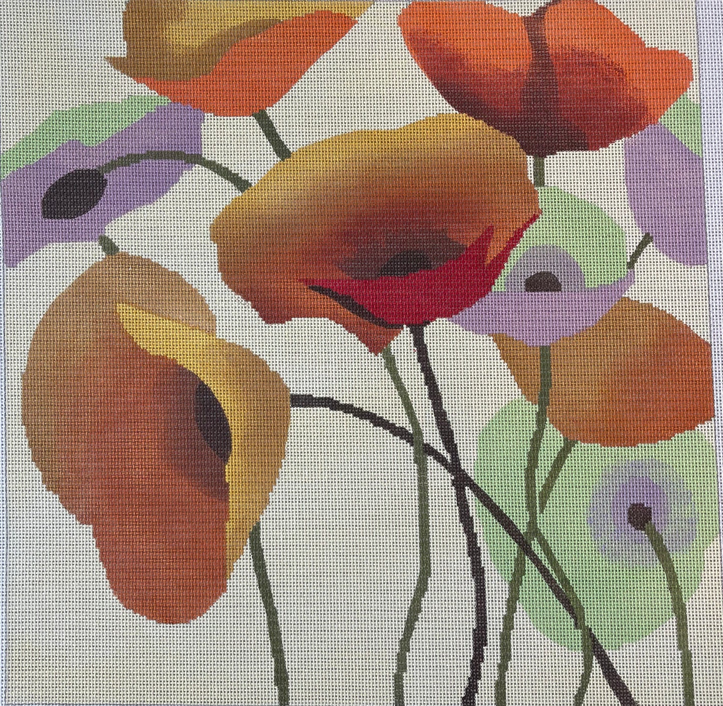 Pastel Poppies (18m) C-ASIT01618