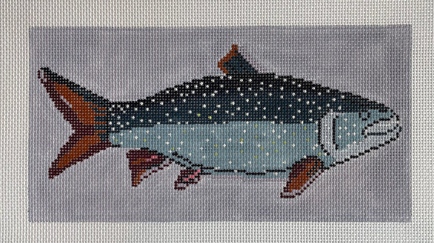 Mackinaw Trout TS-KAA9006B