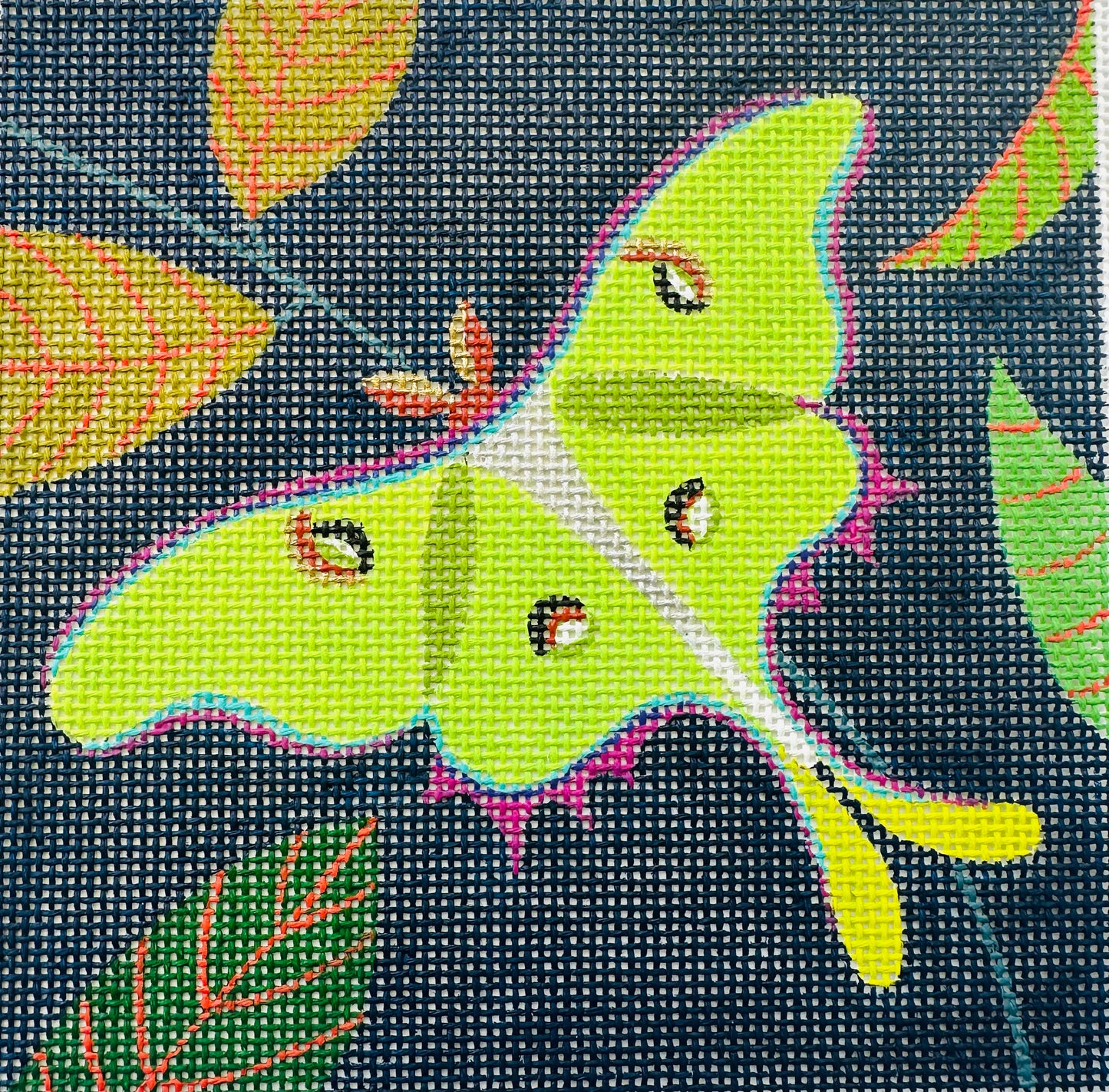 Lunar Moth C-ZE285