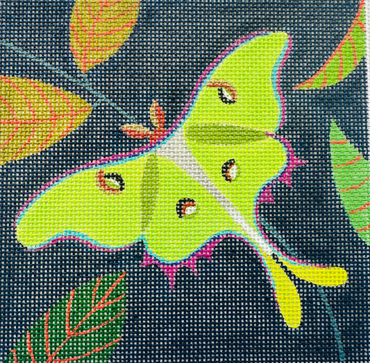 Lunar Moth C-ZE285