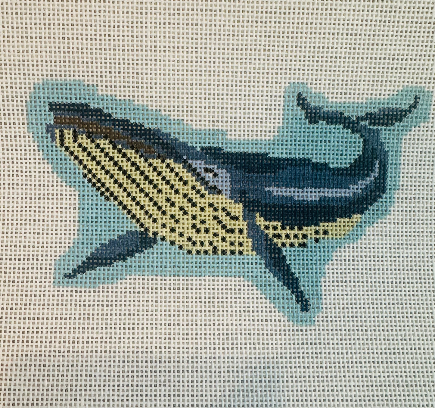 Blue Whale C-PR63
