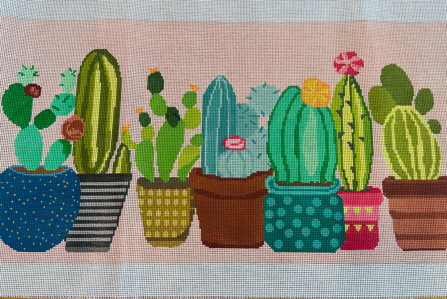 Cactus 13M 22.75x11.5” TS-ASIT35113